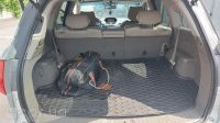 Acura MDX, 2007